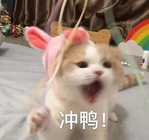 微信偷偷更新！这新春限定功能全面上线