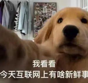 脱人又上大分，想睡粉没睡成还惨遭反噬？