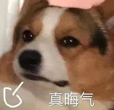 脱人又上大分，想睡粉没睡成还惨遭反噬？
