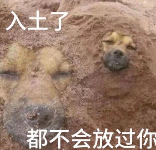 脱人又上大分，想睡粉没睡成还惨遭反噬？