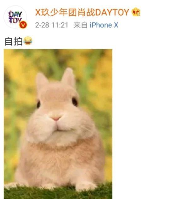 兔系长相，最出顶流？