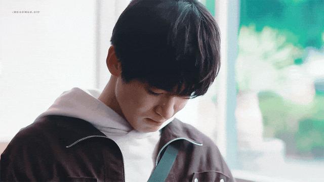 兔系长相，最出顶流？