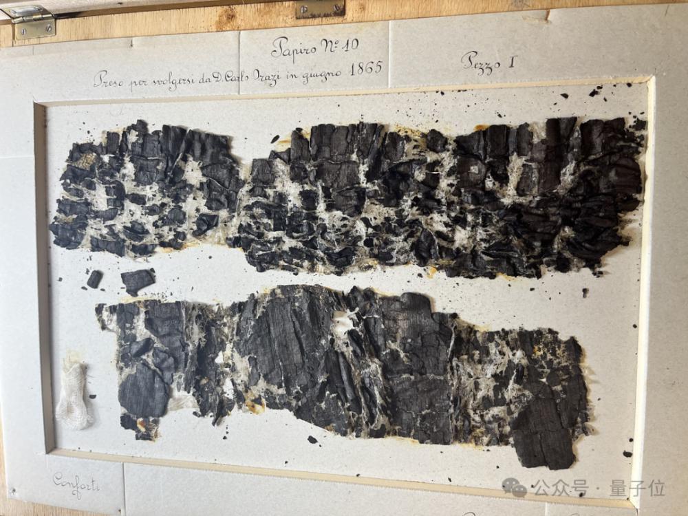 SpaceX天才实习生课余用AI破解上古卷轴，获Nature头版关注