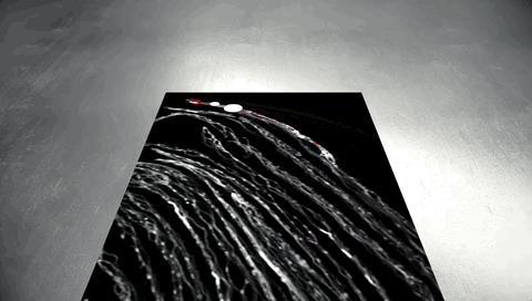 SpaceX天才实习生课余用AI破解上古卷轴，获Nature头版关注