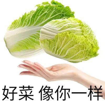 别吵了，这才是今年最猛的国产手机