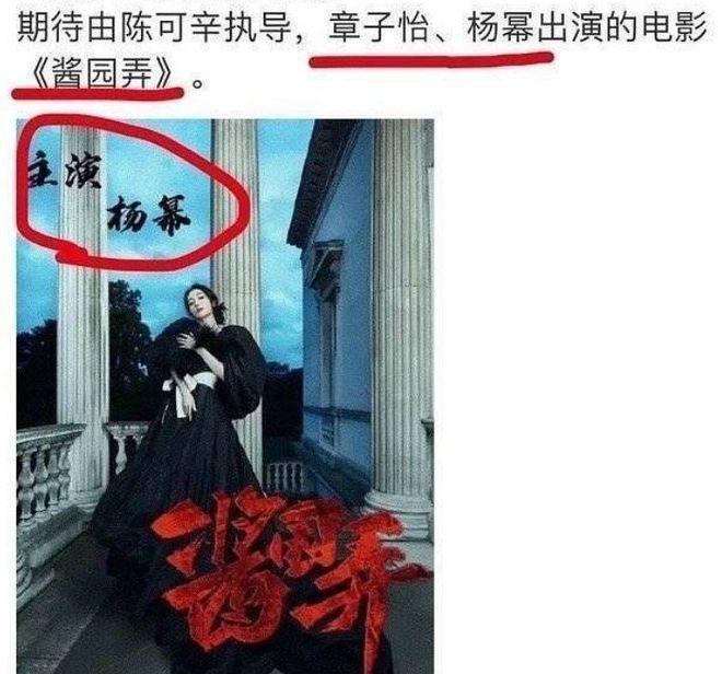 《酱园弄》首支预告片!全程没有杨幂赵丽颖,抢风头被打脸