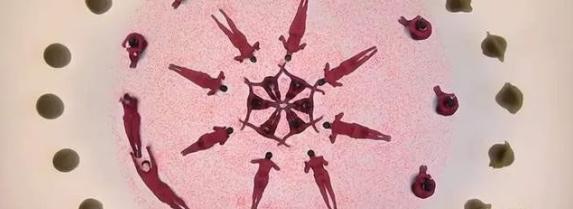 2024龙年央视春晚收视出炉！排名第一节目太意外！