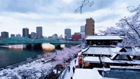 OpenAI为什么总是领先一个版本