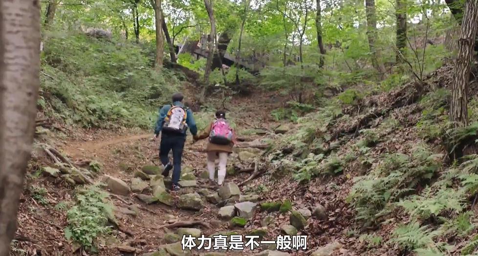 韩剧疯出2.0：离婚后，我们更相爱了