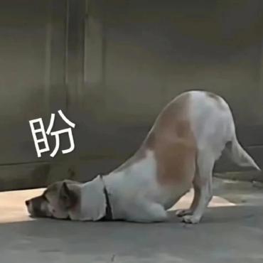 去年1599的LCD神机，可能不会再有了