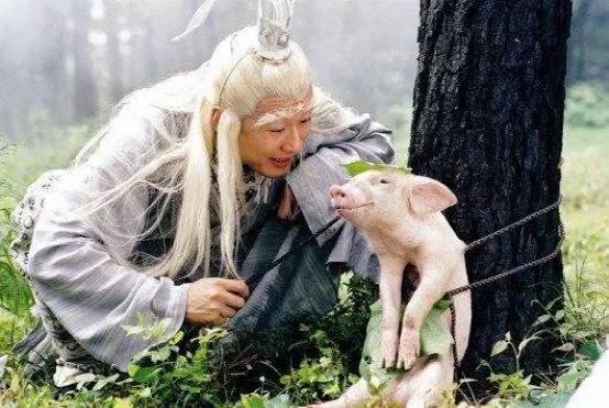 仅出现了7集的配角，却把主角秒成渣了！自毁前程太可惜