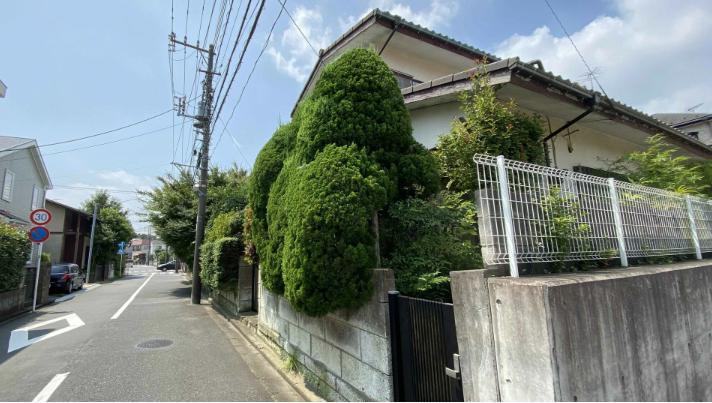 日本出现大批“高学历难民”，25岁空姐转职失败直接沦落到领救济餐度日
