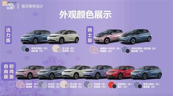 新增302公里续航版 比亚迪海豚荣耀版官图发布：升级独立悬架