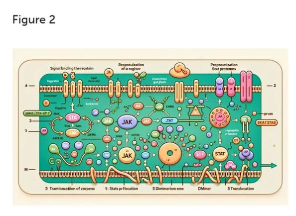 985高校学者用AI生成论文插图，仅发表3天被撤稿！每幅都很荒谬..
