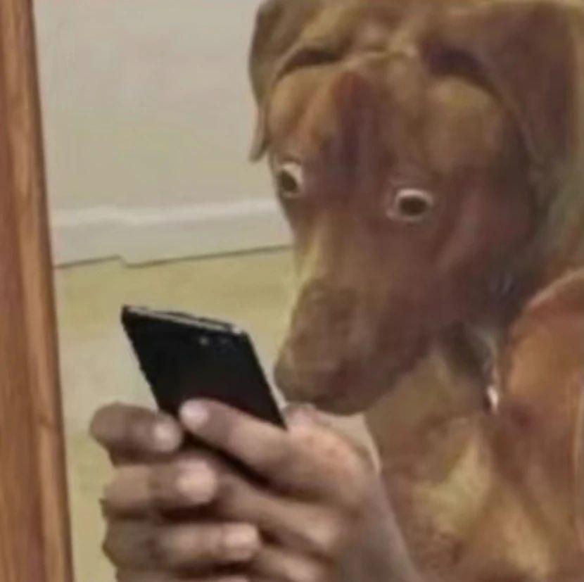 8799 元！刚发布的小米 14 Ultra 真的逆天~