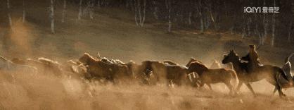 杀疯了，他以一己之力吊打内娱