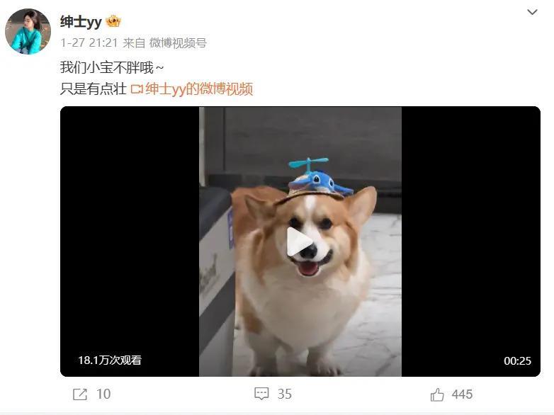 王思聪换新欢后续！送女友7万包补过情人节，一身行头十几万