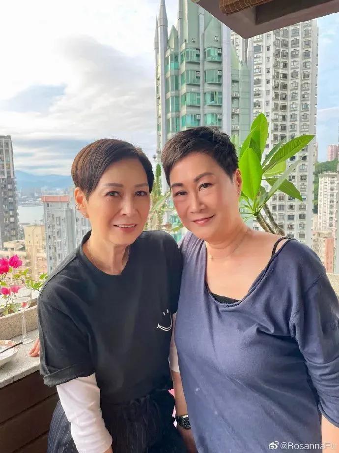 欧阳震华、袁伟豪：“嫁”入豪门的TVB小生们