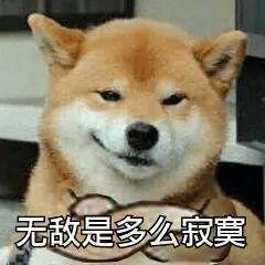 1599元！今天发布的这新机，是要逼死小米啊