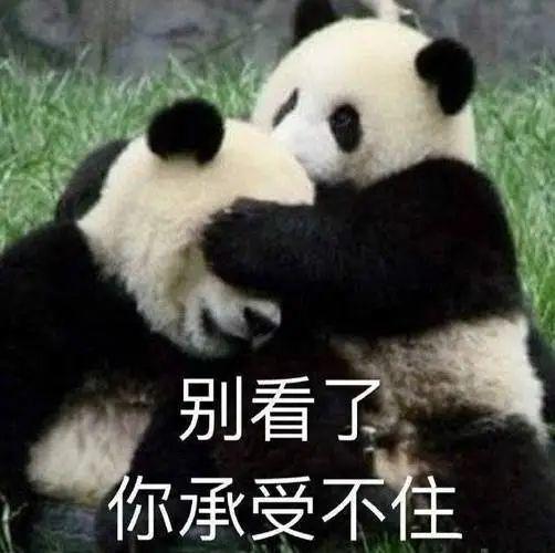 1599元！今天发布的这新机，是要逼死小米啊