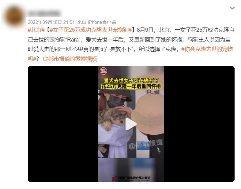 20万就能克隆你的宠物,为什么网友觉得丧心病狂?