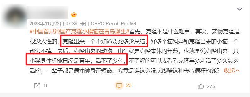 20万就能克隆你的宠物,为什么网友觉得丧心病狂?