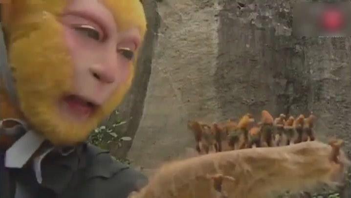 20万就能克隆你的宠物,为什么网友觉得丧心病狂?