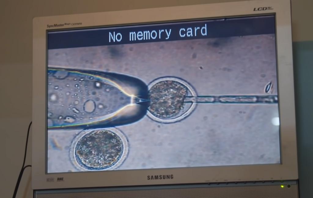 20万就能克隆你的宠物,为什么网友觉得丧心病狂?