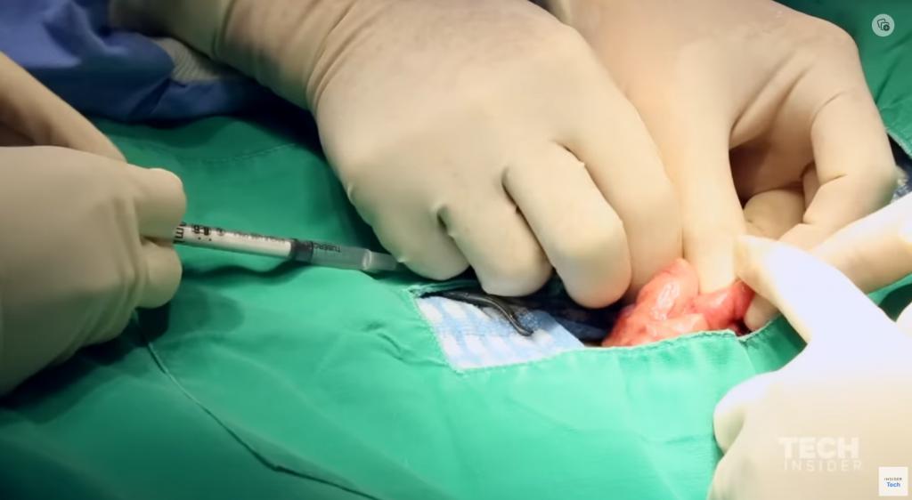 20万就能克隆你的宠物,为什么网友觉得丧心病狂?