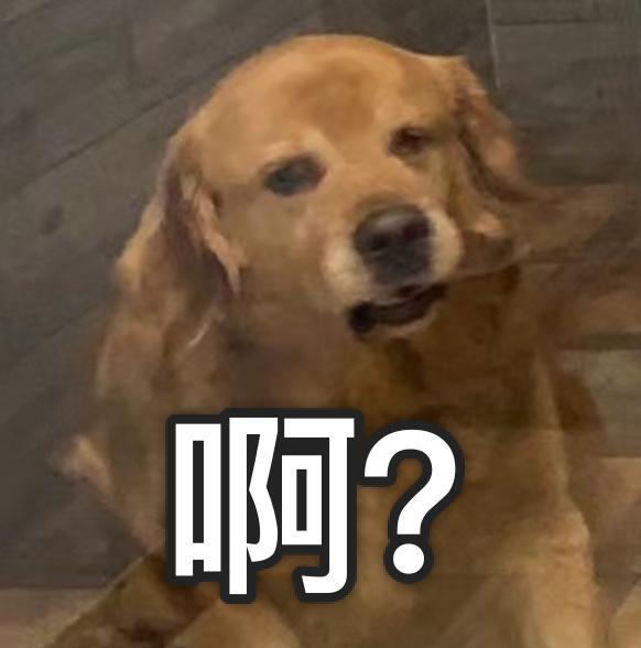 20万就能克隆你的宠物,为什么网友觉得丧心病狂?