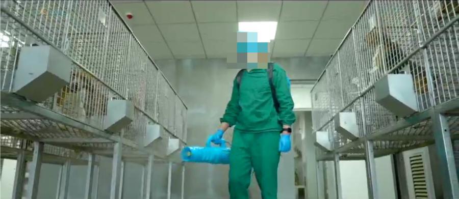 20万就能克隆你的宠物,为什么网友觉得丧心病狂?