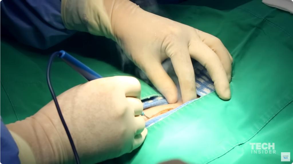 20万就能克隆你的宠物,为什么网友觉得丧心病狂?