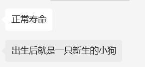 20万就能克隆你的宠物,为什么网友觉得丧心病狂?