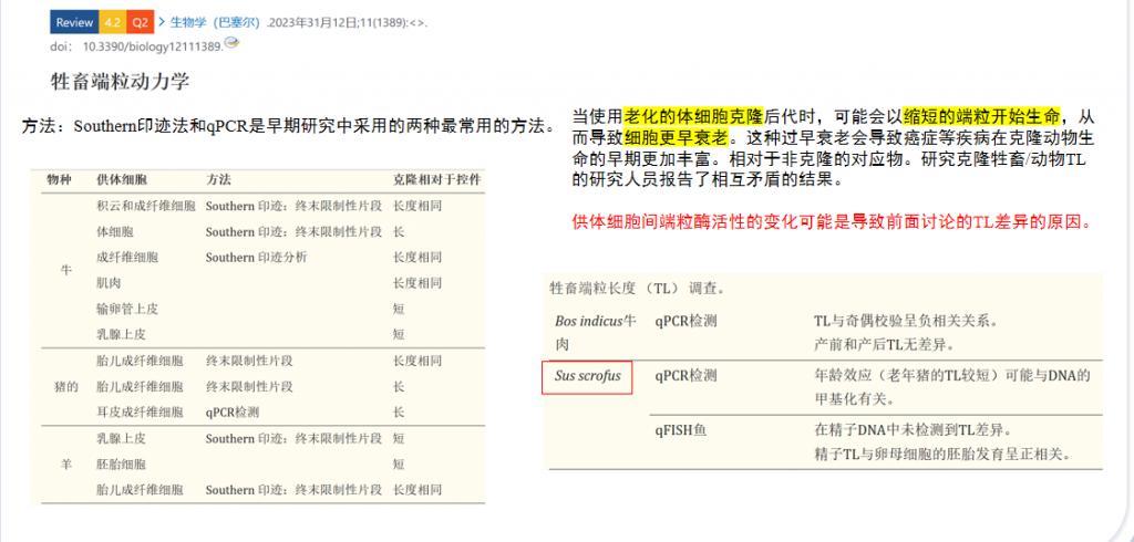 20万就能克隆你的宠物,为什么网友觉得丧心病狂?