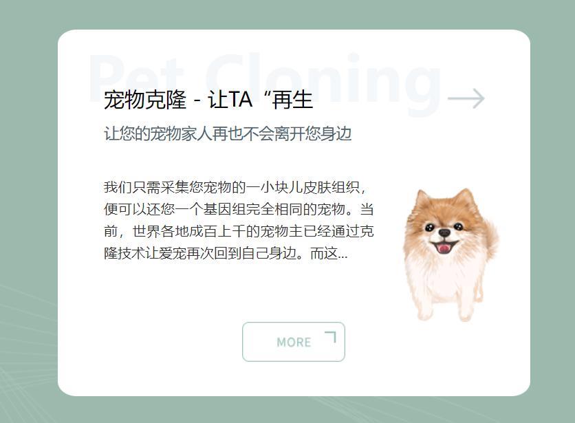 20万就能克隆你的宠物,为什么网友觉得丧心病狂?