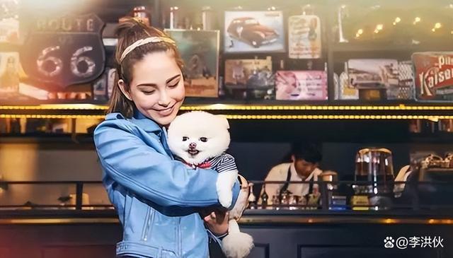 昆凌网店被曝关闭，周杰伦也无法改变她干啥啥不行的命运