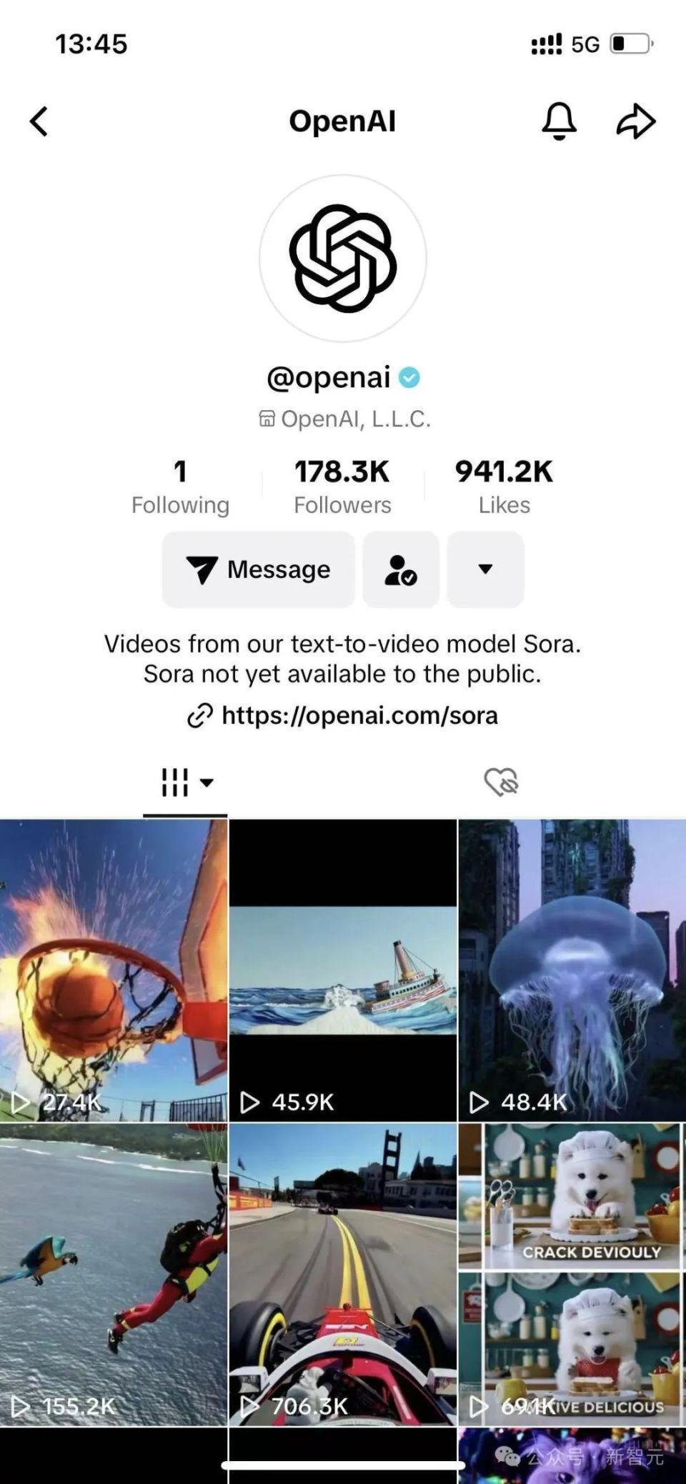 外媒抢先实测Sora：视频大翻车惨不忍睹，动物变形速度还巨慢