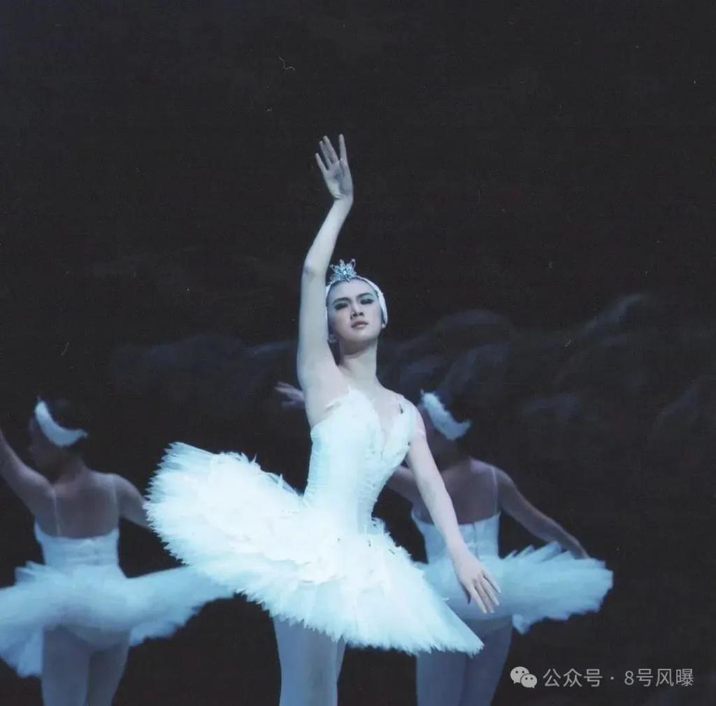 嘲着嘲着，路转粉了？