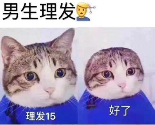 这种网红，就该被彻底封杀