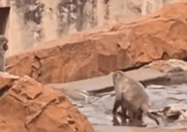 2024热搜第一终于被喷没了