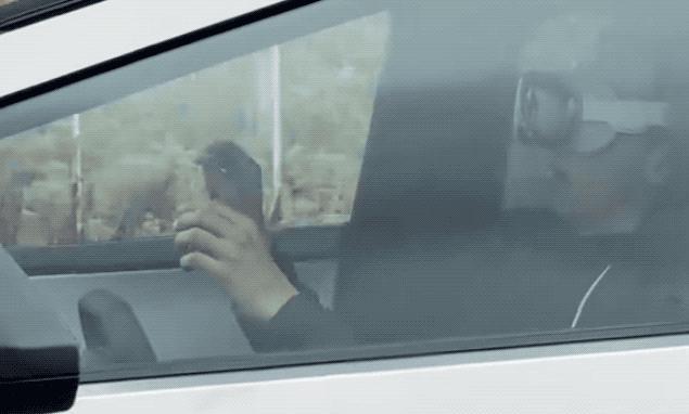 拿到苹果Vision Pro玩疯了，戴着它遛机器狗开特斯拉，住在里面打工和生活，仿佛未来世界