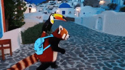 英伟达食堂吃中国鸡蛋？Sora已经把某些股民搞疯了。。。