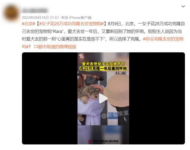 20万就能克隆你的宠物，为什么网友觉得丧心病狂？