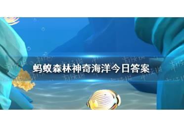 海胆不只是圆形的还有蛇形还是心形 神奇海洋海胆3.17答案