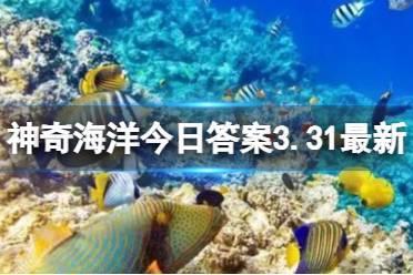 海洋鱼类的牙科医生 神奇海洋答案3月31日