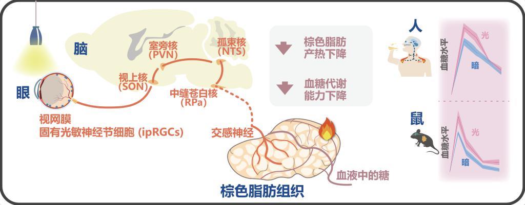 看完中国科学的十大进展，我又开始相信“ 魔法”了。