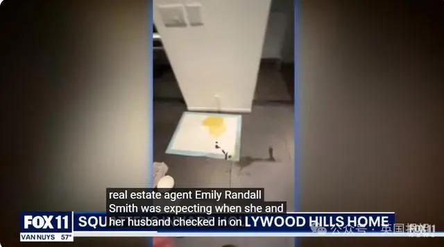 好莱坞成人女星强占豪宅弄得满地排泄物，房东为赶人损失惨重