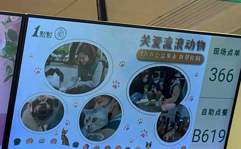 年入50亿的奶茶网红鼻祖，彻底「摆烂」了
