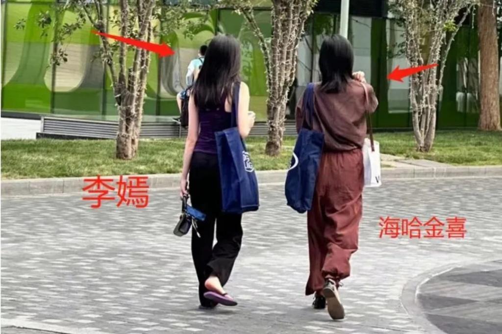 10亿？李亚鹏到底拿了王菲多少钱……