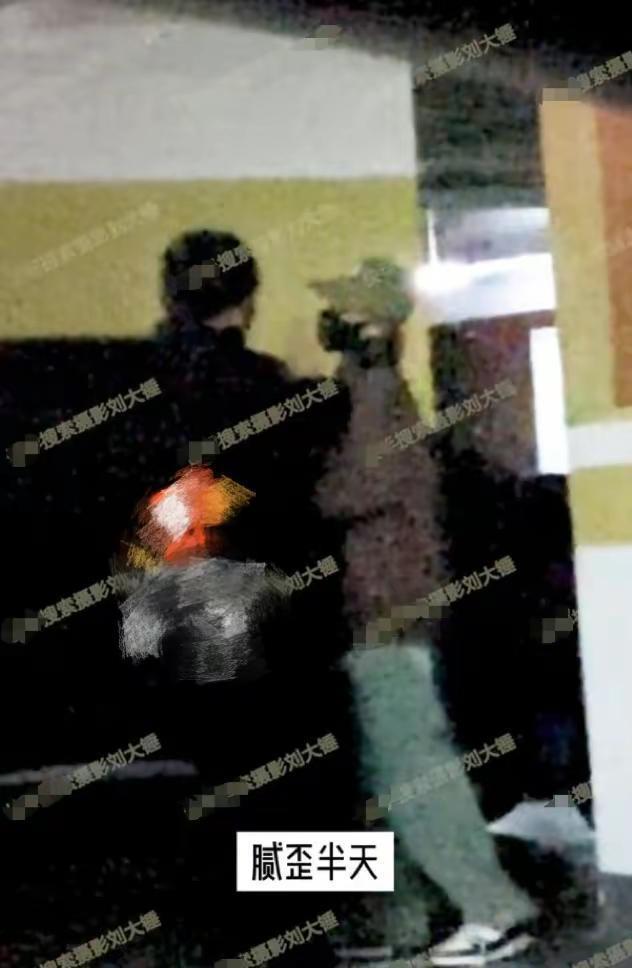 金晨携伴手礼去胡夏父母家做客超懂事，氛围融洽好事将近？